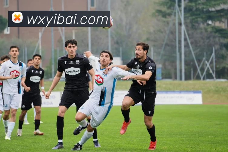 多媒体互动体验